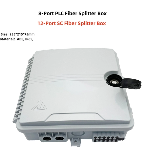 Are there 10 Gigabit single-mode fiber optic cables 