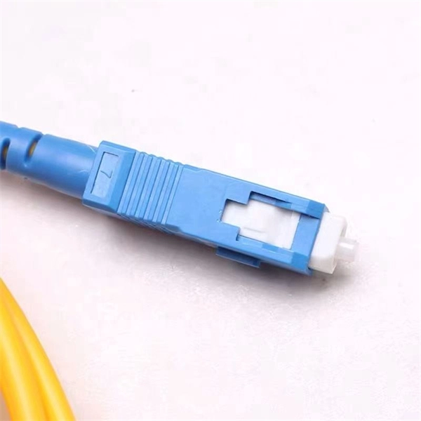 Wiring of Changxing Distribution Box
