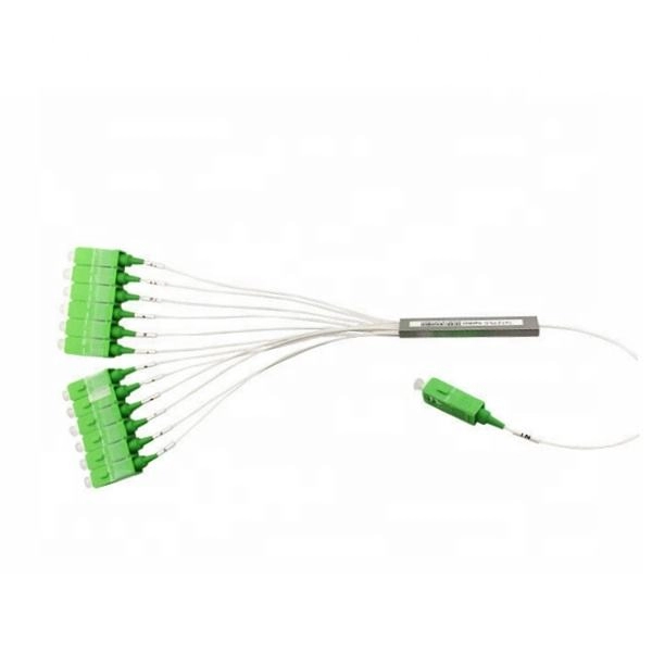 Do all single-mode optical fibers support 10 Gigabit Ethernet