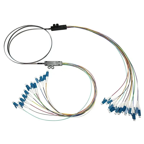 Can the fiber optic box at the home entrance accommodate a router