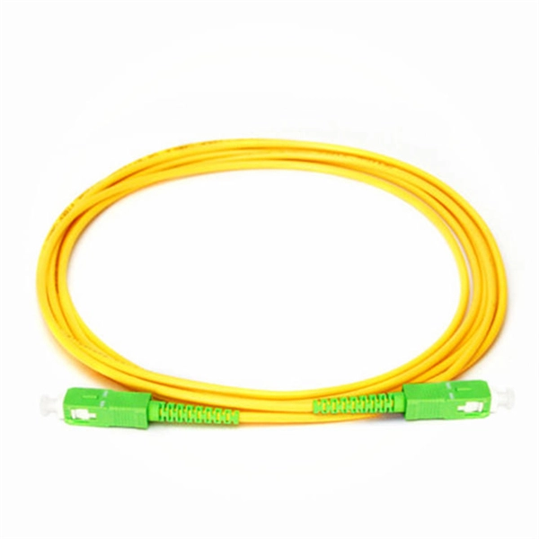 Can branch cables be run in cable trays 