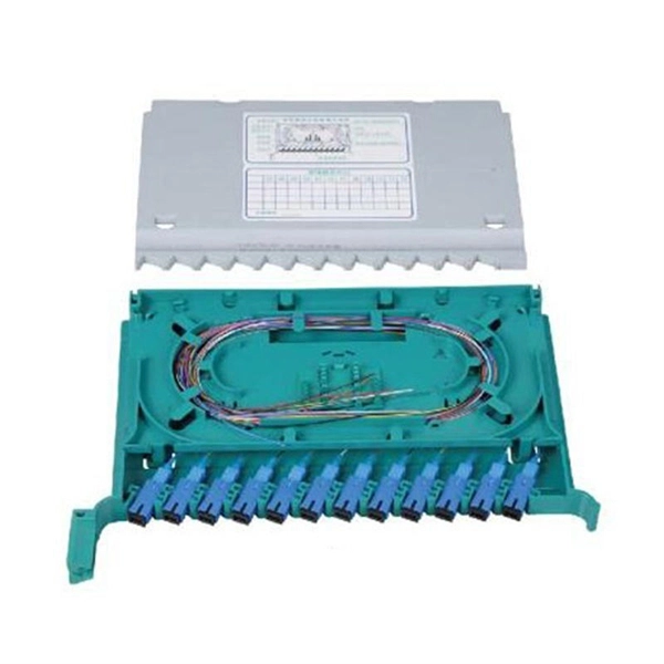 10 Gigabit Port with Gigabit Optical Module